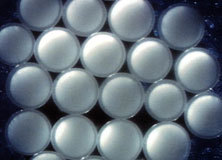 特種建材 構(gòu)建卓越事業(yè)的基石